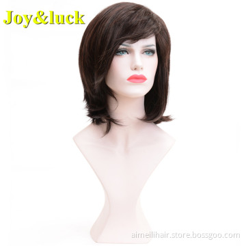 Brown Wig for Women Side Part Wholesale Prices Adjustable Band Cosplay Party Natural Straight Short Bob Wig Synthetic Hair Wigs